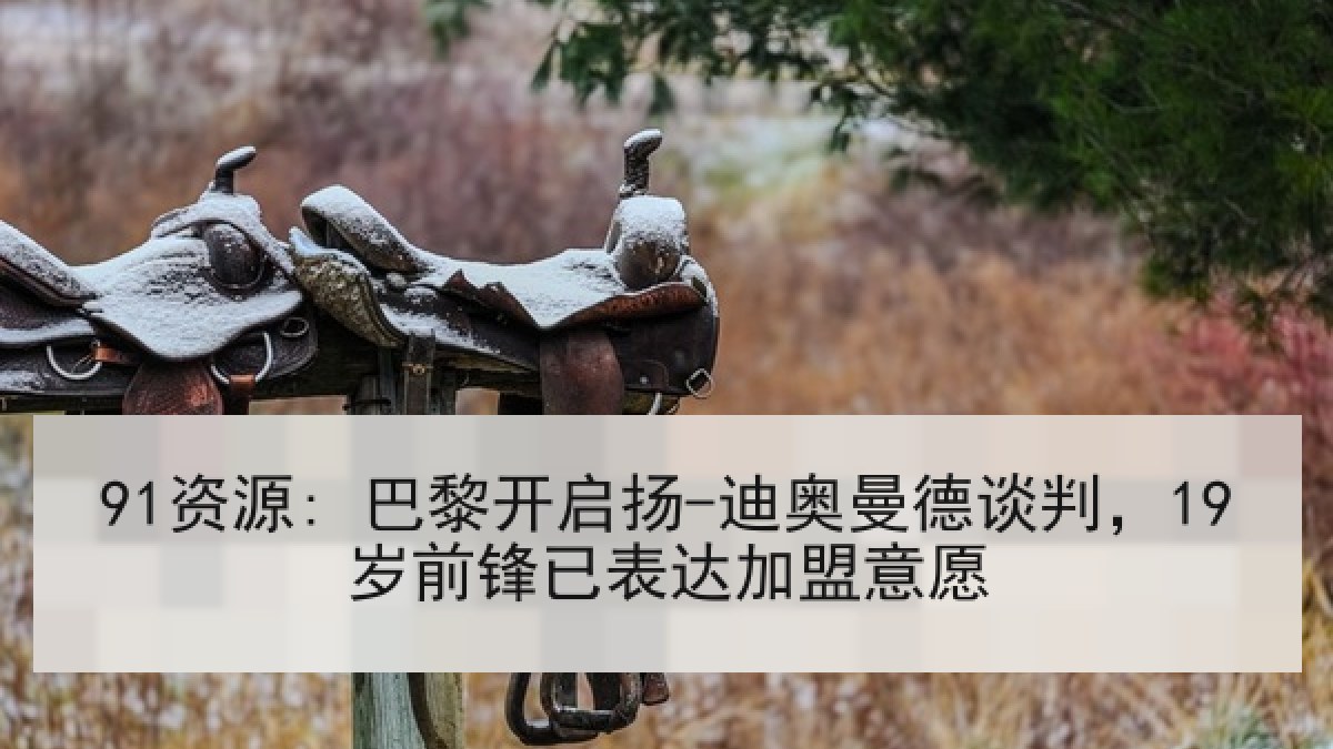 91资源: 巴黎开启扬-迪奥曼德谈判,19岁前锋已表达加盟意愿