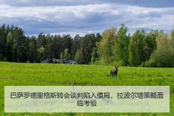 巴萨罗德里格斯转会谈判陷入僵局，拉波尔塔策略面临考验