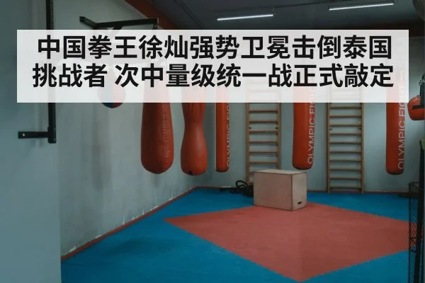 boxing training punching bag gym